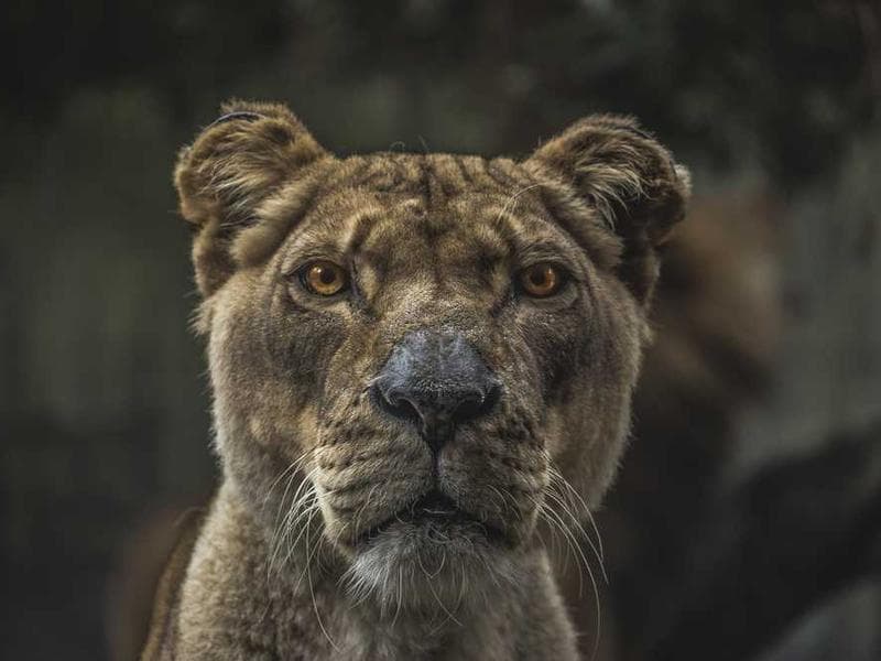 Congress races to pass spending bill before government shutdown deadline